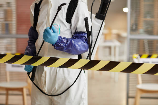 Professional Trauma Scene Cleanup technician working in Malone, FL